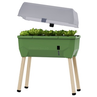 Gusta Garden Mini-Hochbeet Sammy Salad, inkl. Haube, ca. ..., Dunkelgrün