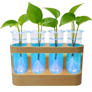 Reagenzgläser Blumenvase, Reagenzglas Vase mit Ständer Holz Abnehmbare Reagenzgläser für Blumen Pflanzen Propagation Station, 4 Reagenzgläsern Pflanzen, für Home Wohnzimmer Büro (Farbiges Licht)