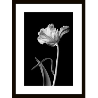 Euroart Glasbild, Schwarz, Weiß, Glas, rechteckig, 30x40x1.40 cm, Fotografie, einfache und schnelle Anbringung, glänzend, Bilder, Glasbilder