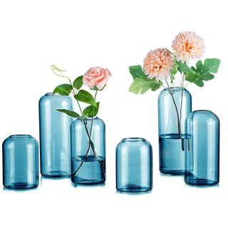 Blau Glasvasen für Tischdeko Weihnachten Blumenvase - Inweder Satz von 6 Modernen Blumen Vase Glas Glaszylinder Kleine Vasen Mini Glasvase für Hochzeit Brautparty Event Geburtstag Deko Wohnzimmer