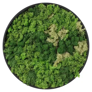 ECD Germany Moosbild Rund Ø 30 cm Mooswand Indoor mit echtem Islandmoos, Wanddeko mit Holzrahmen, Wandbild 3D-Effekt, Natürliche Optik, Pflegefrei - Grün