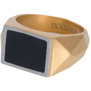 iXXXi Men Herren Siegelring Audi Gold Matt | Größe 22, Edelstahl, Kein Edelstein