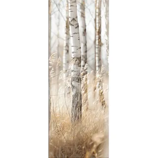 artissimo Glasbild, Beige, Glas, Baum/Pflanze/Natur, Rechteckig, 30x80 cm, Bilder und Zubehör, Wandbilder, Glasbilder