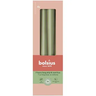 Bolsius Spitzkerze 24,5 x 2,4 cm 4 St. grün