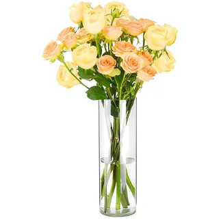 Koelaa Vase, Acryl Vase, Unzerbrechliche Blumenvasen, Modern Zylindervase, Klar, Kunststoff Vasen, Vasen Hochzeit Tischdeko, Transparente Blumenvase für Einweihungsparty-30 * 10cm