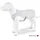 Hundeweste watchout Kühlweste Grau Polyester Hund Weste