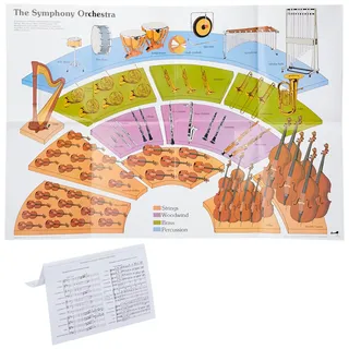 Wildgoose Education MU2201 The Symphony Orchestra Poster (100 x 70 cm)