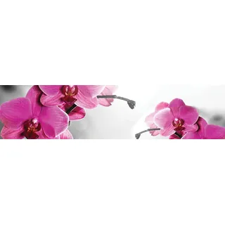 ForWall Fototapete Küche Vlies Tapete Rosa Orchidee Wanddeko VEK (250cm. x 60cm.) AMF10155VEK Natur Blume Blumen Orchidee Orchideen Garten