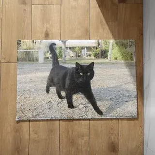 EHOMERY Fußmatte Waschbar Dünn Türmatte Nach Maß Schwarze Katze Personalisierte Fußmatte Familie Sauberlaufmatte Hochflor 45x75cm,