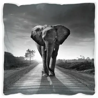 Wallario Dekokissen Elefant bei Sonnenaufgang in Afrika schwarzweiß, handgenäht schwarz 30 cm x 30 cm