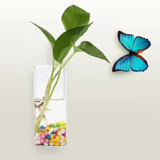 Hängende Pflanzen Blumen Glasvase Wand Hydrokultur Aquarium Container Home Decor 5