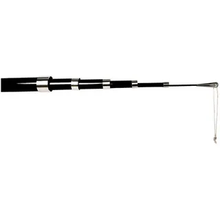 Wolkenstürmer Wolkenstürmer® 6m Teleskopstange - steckbare Angelrute für Black Bird Vogelscheuche, Windspiele, Fahnen, Banner oder ähnliches