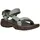 seagrass/deep lichen green 41