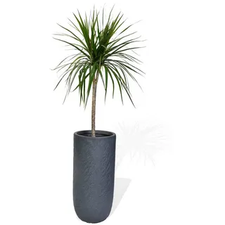 Köhko Blumenkübel Ø 24 x 49 cm Anthrazit