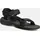 black 43