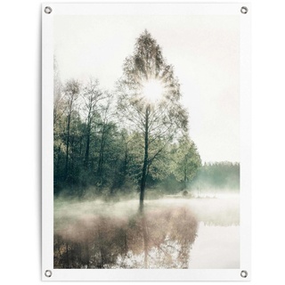 Reinders! Poster »Sonne durch die Bäume«, 94611369-0 Grün B/H/T: 60 cm x 80 cm x 0,1 cm