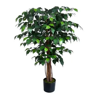 Seidenblumen Roß Ficus Benjamini grün 90 cm