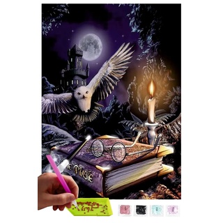 MISHBAY Diamond Painting Erwachsene Harry Potter - 30x40cm - Diamant Painting Bilder Eule - DIY 5D Satz Wand Dekor Diamantstickerei