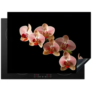 MuchoWow Herd-Abdeckplatte Blumen - Orchidee - Rosa - Botanisch - Natur, Vinyl, (1 tlg), Ceranfeldabdeckung Küche, Herdabdeckplatte Einteilig, 70x52 cm bunt 70 cm x 52 cm x 0.2 cm