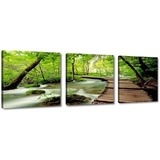 Visario 150 x 50 cm echtes Marken Leinwandbild Nr. 4216 Bilder auf Leinwand Bild Natur DREI Teile