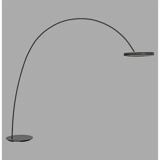 neuhaus pure PURE Loop-Bow 60,00x250,00x290,00 schwarz