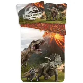 Jurassic World - Bettwäsche-Set, Vulkan AG1556 (Einzelbett) (Grün/Orange/Grau) - Grün