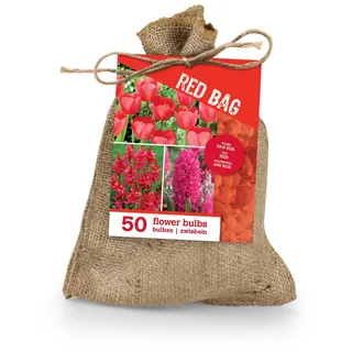 Bloomique Blumenzwiebeln 50er-Mix Blumenzwiebeln Rot, Tulpen und Hyazinthen, (50-St) grün