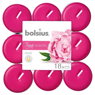 bolsius Teelichter Pfingstrose, 4 Stunden, Wachs, Pink, Einheitsgröße, 101926943462