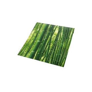 Papiertapete Bambus grün B/L: ca. 53x1005 cm