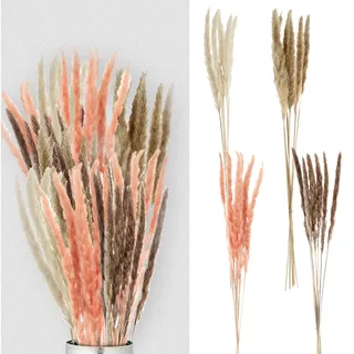 Cepewa Pampasgras 4 Farben 24er Set │ Dekogras H65-75 cm │ Trockenblume Wedel Kunstgras (1 x 24er Set Pampasgras 65-75 schmal)