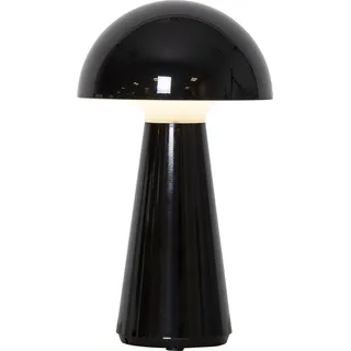 Star Trading Mushroom Schwarz