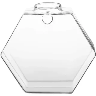 Hztyyier Glasvase Zum Aufhängen an der Wand, Transparent, 6 Stück, Gartenwanddekoration für die Wand, Hinterhof, für Klebrige Hängende Terrarien (Hexagon)