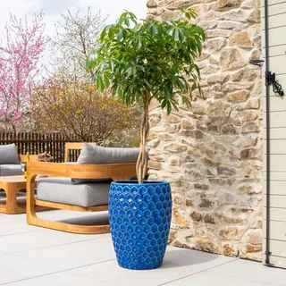 Provencelia Versailles Pflanzkübel Keramik Groß Ø38xH54 cm Blau | Blumentopf handgefertigt, Übertopf frostfest, Pflanzgefäß für Wohnzimmer, Garten, Balkon & Terrasse, Blumenkübel rund, 35 L