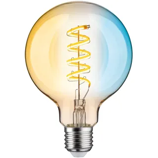 Paulmann LED-Leuchtmittel G95 29159 7,5 W E27 warmweiß 1 St.